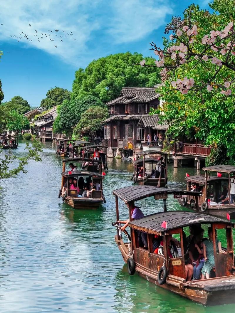 中国旅行